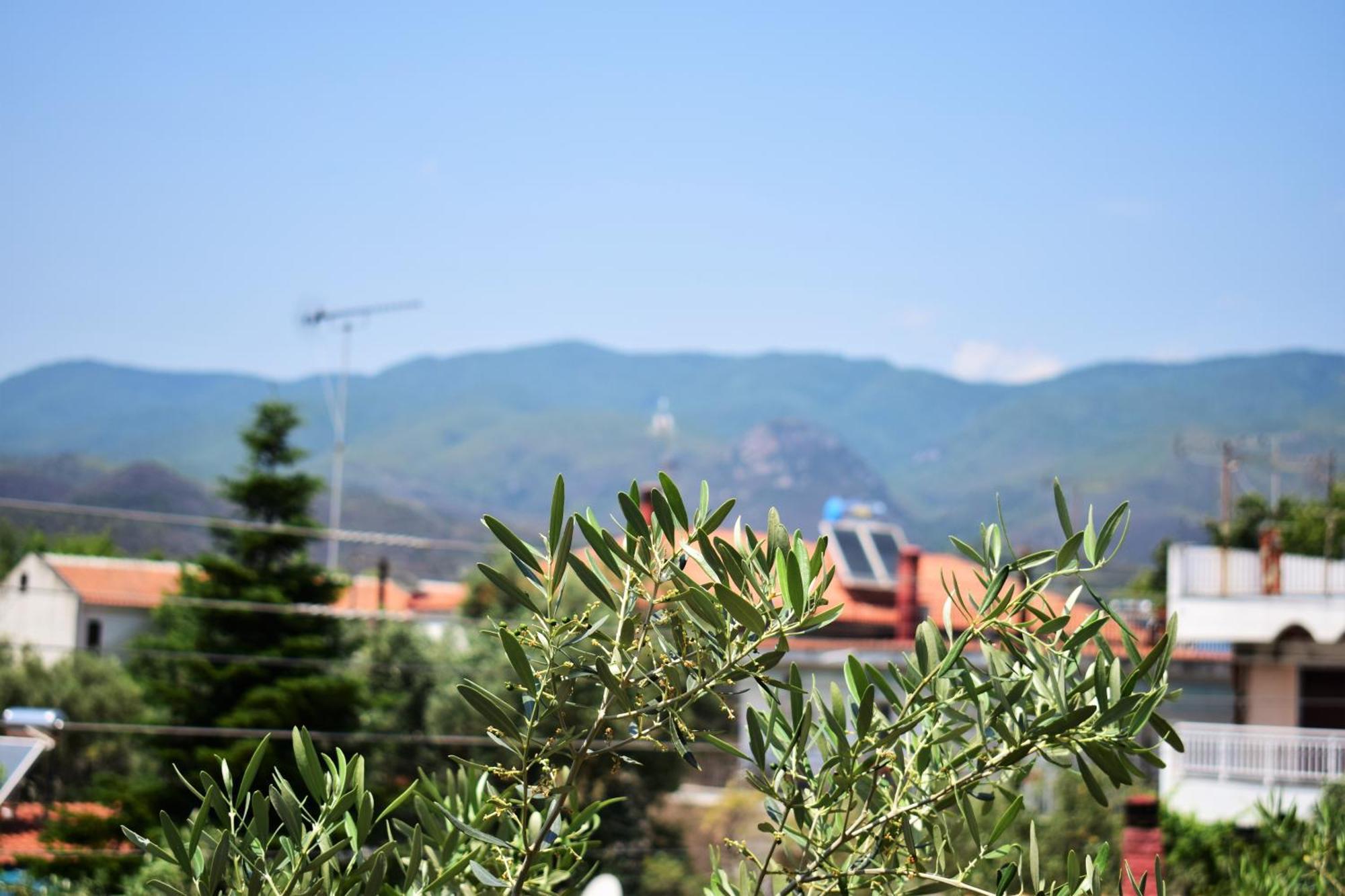 Apartment Anesis Pantazis *